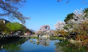 円山公園