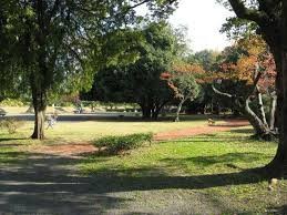 嵐山東公園