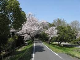 嵐山東公園