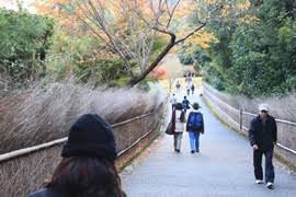 嵐山公園 亀山地区
