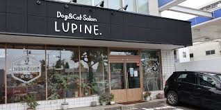 Dog&Cat Salon LUPINE.（nomine cafe.）