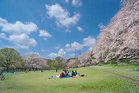 都立 砧公園