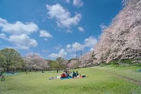 都立 砧公園