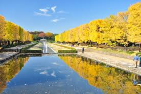 国営昭和記念公園