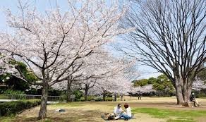 北の丸公園