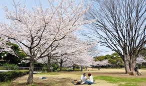 北の丸公園