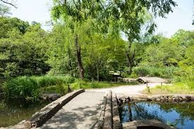 都立石神井公園