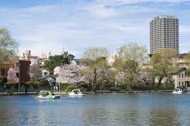 都立石神井公園