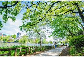 都立石神井公園