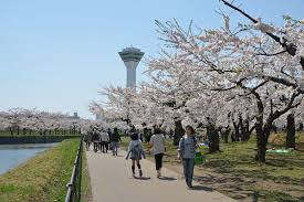 五稜郭公園