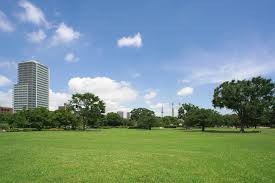 木場公園