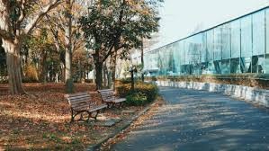 木場公園