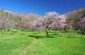 別保公園