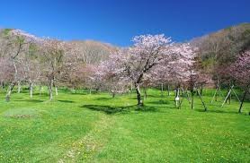 別保公園