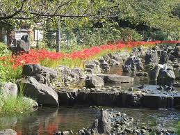 東綾瀬公園
