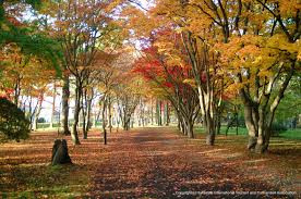 見晴公園