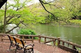 井の頭恩賜公園