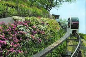飛鳥山公園