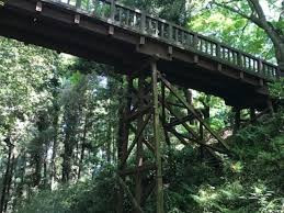 滝山城跡(都立滝山公園)