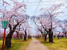 青葉ヶ丘公園