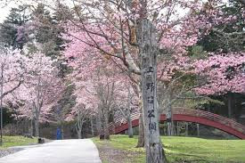 子野日公園