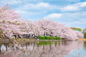 上野恩賜公園