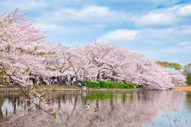 上野恩賜公園