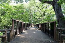 多摩川台公園
