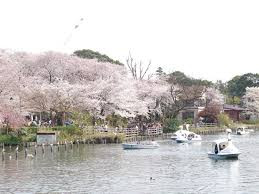 洗足池公園
