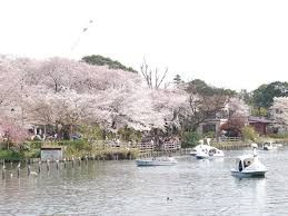 洗足池公園
