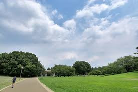 光が丘公園