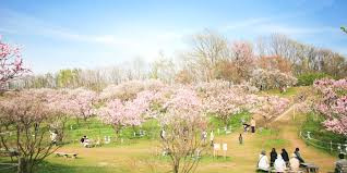 平岡公園