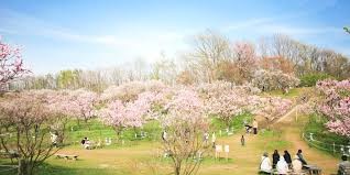 平岡公園