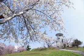 美唄市東明公園