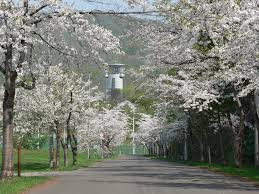 美唄市東明公園