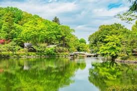 町田薬師池公園 四季彩の杜 薬師池
