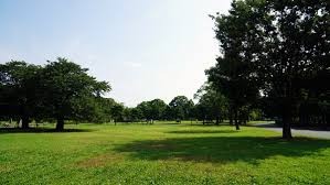 篠崎公園