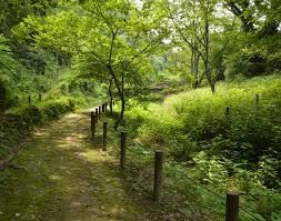 長沼公園
