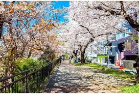 外濠公園