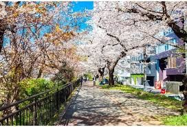 外濠公園