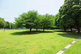 城北中央公園