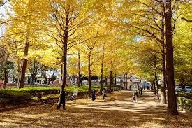 城北中央公園