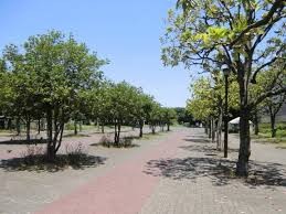 東白鬚公園