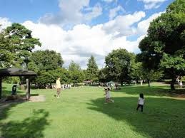 都立武蔵国分寺公園