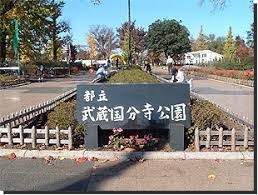 都立武蔵国分寺公園