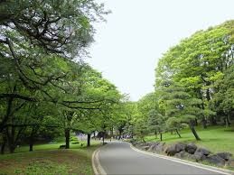 代々木公園