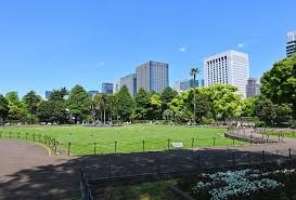 代々木公園