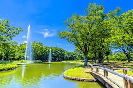 代々木公園
