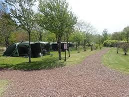 安平町鹿公園キャンプ場