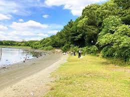 大井ふ頭中央海浜公園